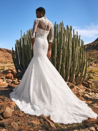 Pronovias #Fingal - Unlined with Jacket #1 thumbnail