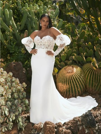Pronovias #Masazir- Unlined with Sleeves #0 default thumbnail