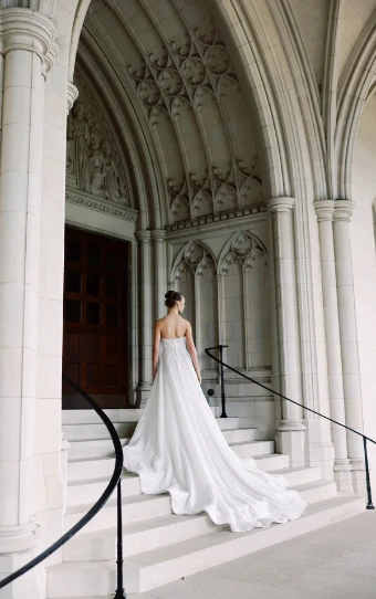 Martina Liana Luxe #LE1312 #1 (IV-BC) IVR & BISCOTTI TULLE BISCOTTI ROYAL ORGANZA OV BISCOTTI GOWN thumbnail