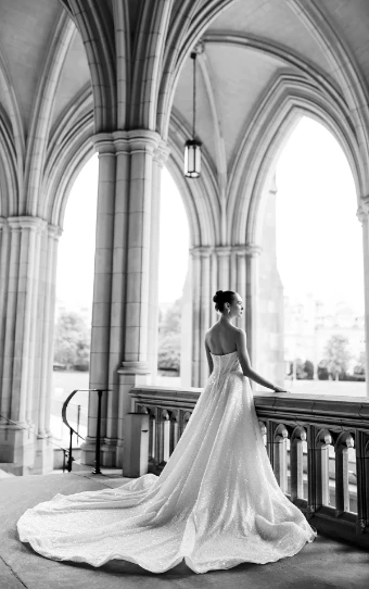 Martina Liana Luxe #LE1312 #2 (IV-BC) IVR & BISCOTTI TULLE BISCOTTI ROYAL ORGANZA OV BISCOTTI GOWN thumbnail