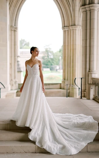 Martina Liana Luxe #LE1312 #0 default (IV-BC) IVR & BISCOTTI TULLE BISCOTTI ROYAL ORGANZA OV BISCOTTI GOWN thumbnail