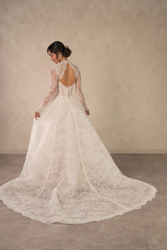 Essense of Australia #D4554 #1 Ivory (gown with Natural Illusion) (pictured) thumbnail
