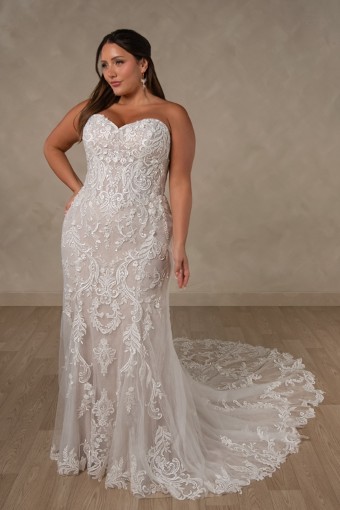 Essense of Australia #D4625 #3 default (IVBC-PL) Ivory Lace Tulle & Regal Org ov BSC Gown w PLN Tulle Plunge thumbnail